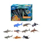 Wenno Ocean Animals with AR Games